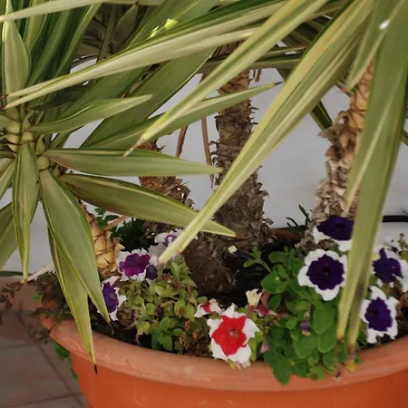 Fisherman S Cove Lejlighed *